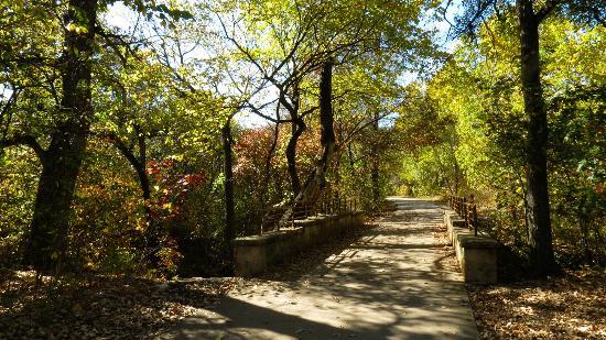 Arbor Hills Nature Preserve Walking trail at Arbor Hills Nature Preserve